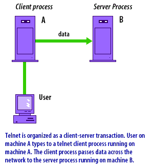 3) Telnet is organized as a client-server transaction. User on machine A types to a telnet client process running on machine A. The client process passes data across the network to the server process running on machine B