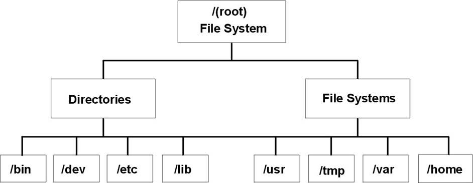 Figure 4-1. / (root) File System Tree.