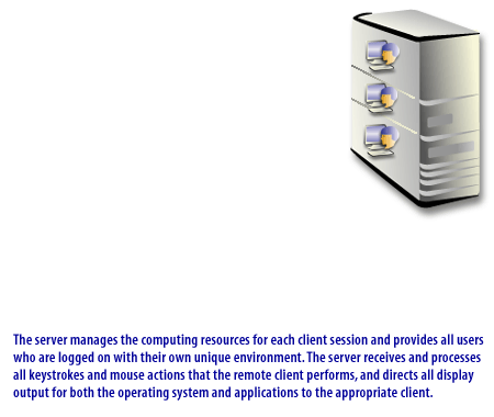 The server manages the computing resources for each client session and provides all users who are logged on with their own unique environment. The server receives and processes all keystrokes and mouse actions that the remote client performs, and directs all display output for both the operating system and applications to the appropriate client.
