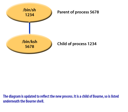 Unix Parent Child Processes Relationship